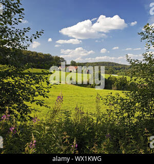 In landsape Sprockhoevel, la zona della Ruhr, Renania settentrionale-Vestfalia, Germania, Europa Foto Stock