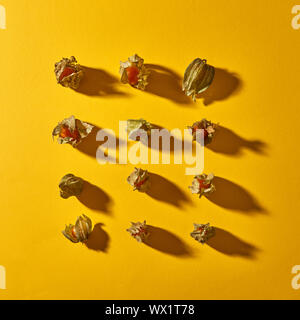 Appartamento vista laici del pattern di giallo physalis frutta con le ombre in forma quadrata su sfondo giallo Foto Stock