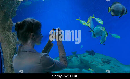 La donna prende la foto in oceanarium Foto Stock