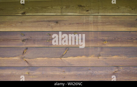 Immagine di sfondo: legno texture con schema naturale. Foto Stock