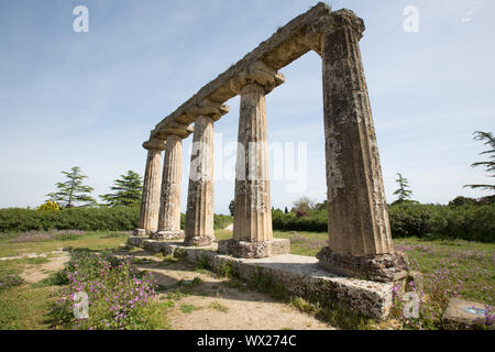 Tavole Palatine Foto Stock