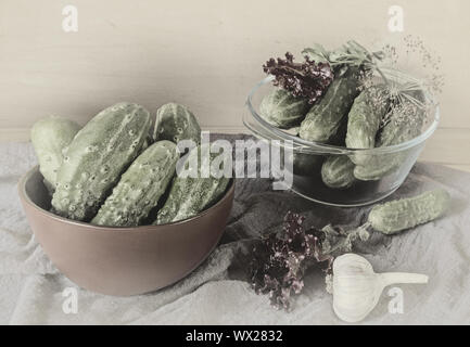 Cetrioli e cetriolini, preparati per Canning e necessarie spezie. Foto Stock