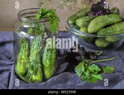 Cetrioli e cetriolini, preparati per Canning e necessarie spezie. Foto Stock