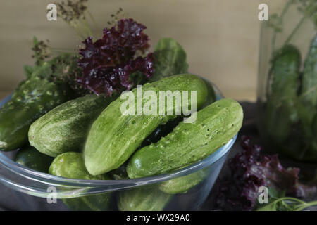 Cetrioli e cetriolini, preparati per Canning e necessarie spezie. Foto Stock