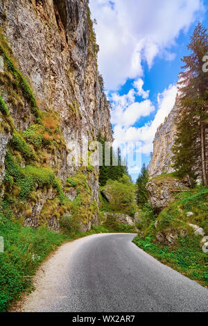 Strada di montagna Rhodope Foto Stock