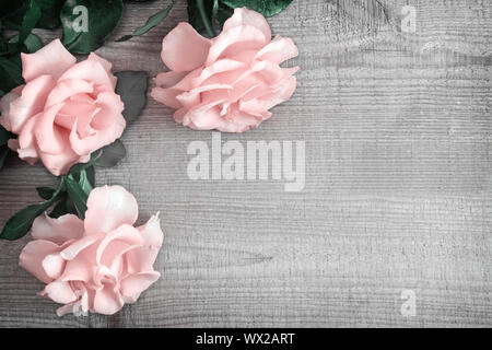 Luxury Pink rose di luce su uno sfondo di legno Foto Stock