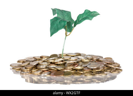 Pila di monete con money tree isolato a uno sfondo bianco Foto Stock
