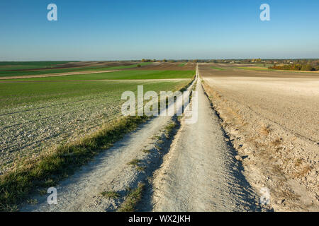 La lunga e dritta strada sterrata attraverso i campi. Molodutyn, Polonia Foto Stock