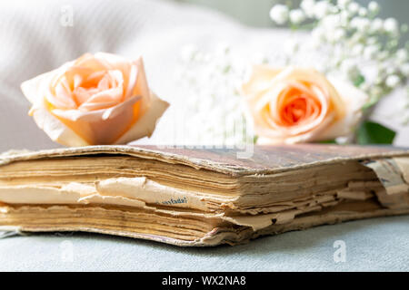 Vecchio libro e rosa rosa, concetto hobby Foto Stock