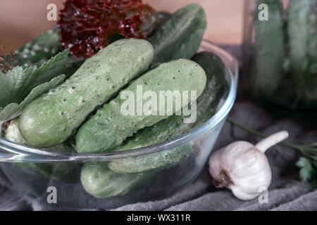 Cetrioli e cetriolini, preparati per Canning e necessarie spezie. Foto Stock