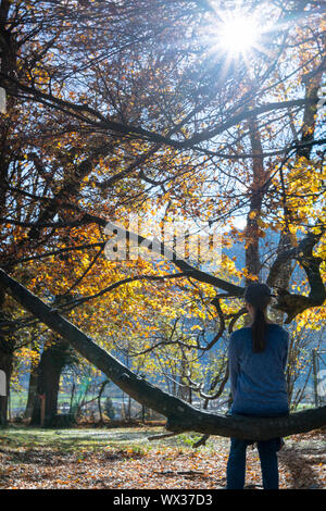 Donna escursionista seduto su di una filiale di grandi dimensioni di un vecchio albero di quercia in una caduta di paesaggio forestale e godendo il Foto Stock
