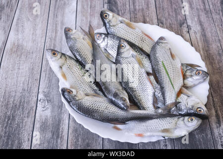 Pesce fresco sul tavolo su una piastra bianca. Foto Stock