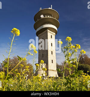 Longino torre sulla Westerberg, Nottuln, Münsterland, Renania settentrionale-Vestfalia, Germania, Europa Foto Stock