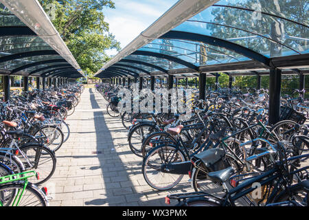 Tipica scena olandese di un deposito per le biciclette con un sacco di biciclette presso la stazione ferroviaria di Ommen provincia Overijssel nei Paesi Bassi Foto Stock