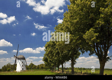 Il mulino a vento di Stammenmühle, Nettetal, Basso Reno, Renania settentrionale-Vestfalia, Germania, Europa Foto Stock