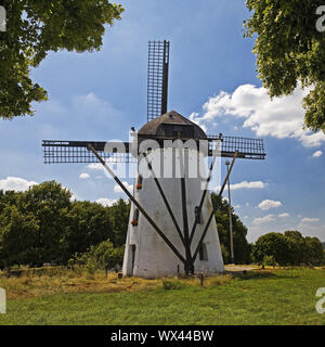 Il mulino a vento di Stammenmühle, Nettetal, Basso Reno, Renania settentrionale-Vestfalia, Germania, Europa Foto Stock