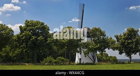 Il mulino a vento di Stammenmühle, Nettetal, Basso Reno, Renania settentrionale-Vestfalia, Germania, Europa Foto Stock