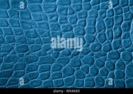 La texture di vera pelle close-up, turchese colore blu, goffrata sotto la pelle di rettile, croco. Per il disegno moderno, carta da parati o banner design Foto Stock