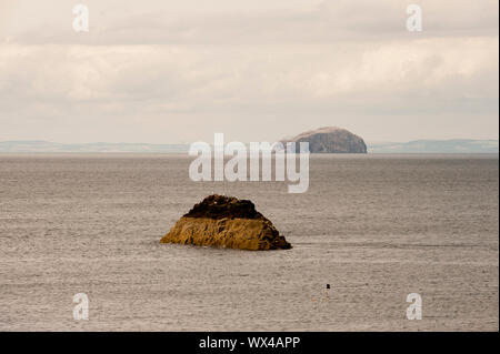 Bass rock come si vede da Dunbar shore. Dunbar è una città situata nel sud-est della Scozia. Foto Stock