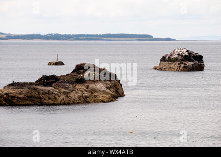 Dunbar shore come visto da Dunbar. Dunbar è una città situata nel sud-est della Scozia. Foto Stock