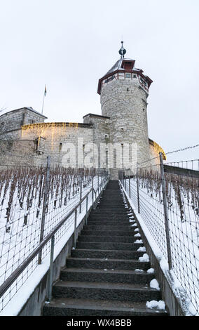 Schaffhausen, SH / Svizzera - Gennaio 5, 2019: Munot Castle e vigneti a Sciaffusa coperti Foto Stock