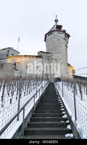 Schaffhausen, SH / Svizzera - Gennaio 5, 2019: Munot Castle e vigneti a Sciaffusa coperti Foto Stock