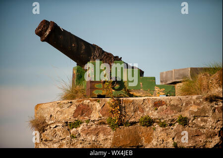 Il Dunbar canon da circa 1600 che ha contribuito a proteggere il Castello dall'inglese. Dunbar è una città situata nel sud-est della Scozia. Foto Stock