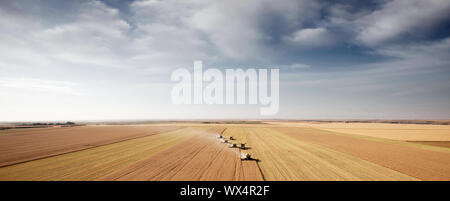 Paesaggio panoramico con quattro combina in un campo sulla prateria aperta Foto Stock