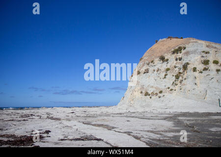 White vista scogliera a Kaikoura Peninsula marciapiede, Nuova Zelanda Foto Stock