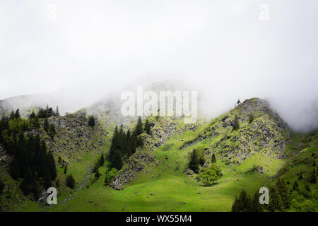 Nuvoloso nebbia di montagna sulla cima delle Alpi Foto Stock
