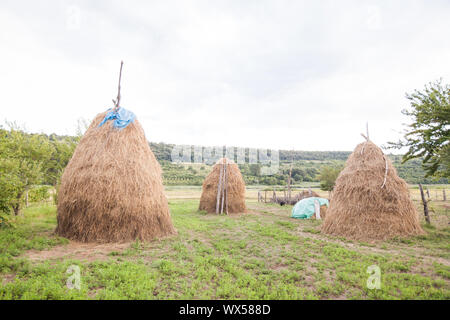 Paesaggio rurale con haystacks, stile tradizionale di pagliaio alla fattoria di campagna in Serbia. Foto Stock