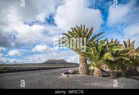 Paesaggio vulcanico di Lanzarote, Isole canarie, Spagna Foto Stock