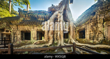 Ta Prohm tempio panorama. Siem Reap. Cambogia Foto Stock
