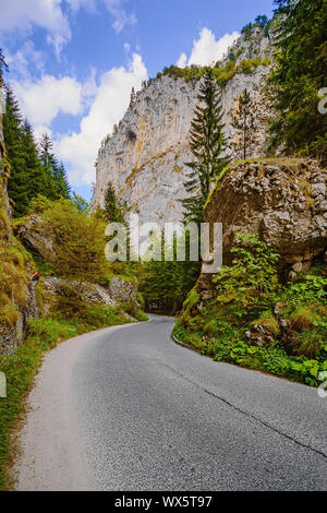 Strada di montagna Rhodope Foto Stock