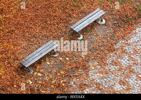 Vista superiore sulle panche di legno nel parco Foto Stock
