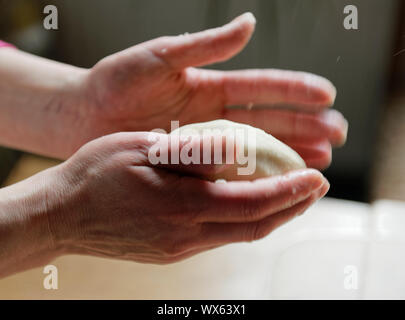 Cepelinai mit Hackfleischfüllung und Sauerrahm Foto Stock