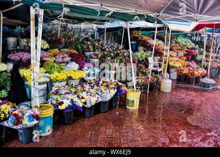 Cape Town, Trafalgar Place Foto Stock