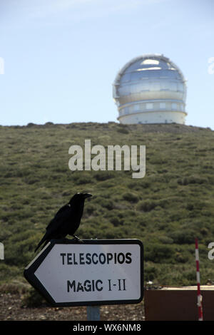 Gran Telescopio Canarias (Grantecan) - il grande telescopio delle Canarie Foto Stock