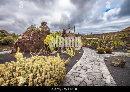 Cactus nel giardino di cactus, Lanzarote, Isole Canarie, Spagna Foto Stock