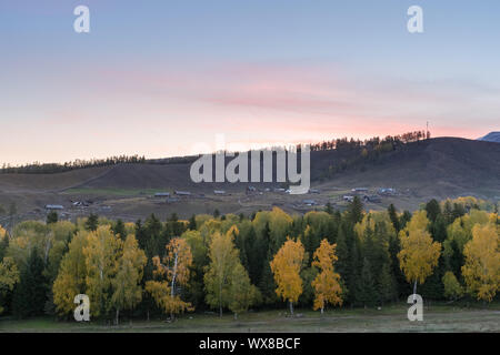 Xinjiang baihaba frazioni di ALBA Foto Stock