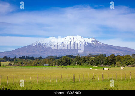 Il monte Vulcano Ruapehu in Nuova Zelanda Foto Stock