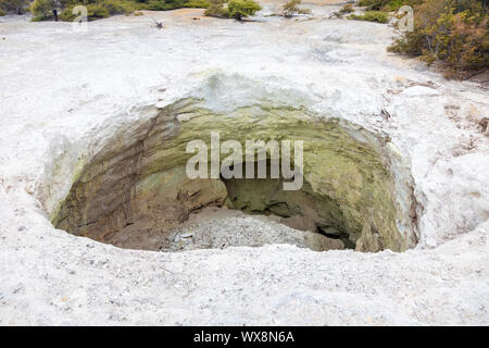 Attività geotermica a Rotorua in Nuova Zelanda Foto Stock