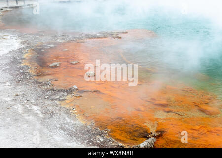 Hot scintillante lago in Nuova Zelanda Foto Stock