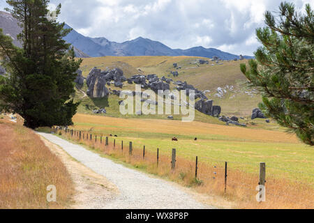 Paesaggio PAESAGGIO nel sud della Nuova Zelanda Foto Stock