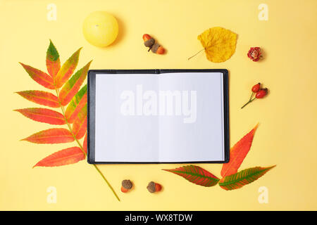 Belle foglie essiccate e notebook su sfondo giallo. Foto Stock