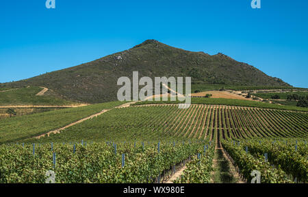 Lo splendido paesaggio di Cape Winelands, regione vinicola del Sud Africa Foto Stock
