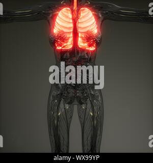 Polmoni umani esame radiologico Foto Stock