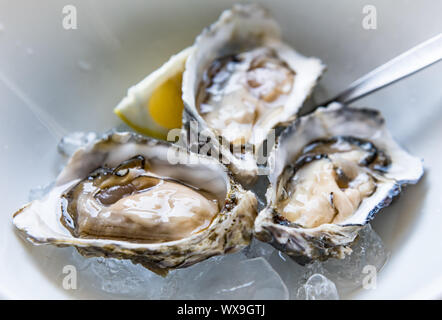 Ostriche fresche su ghiaccio in un ristorante per gourmet Foto Stock