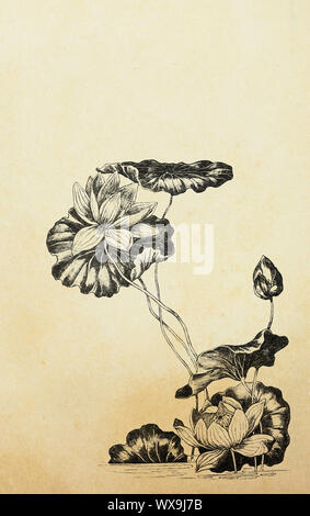I fiori di loto in stile art nouveau sulla vecchia carta Foto Stock