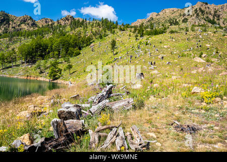 Il lago di Madh nel Parco Nazionale di esca, Albania Foto Stock